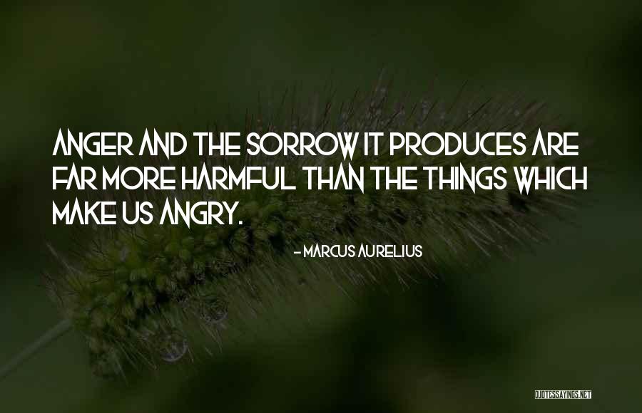 Sorrow Quotes By Marcus Aurelius