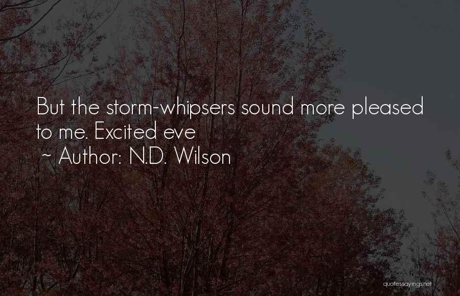 Sorrow Quotes By N.D. Wilson