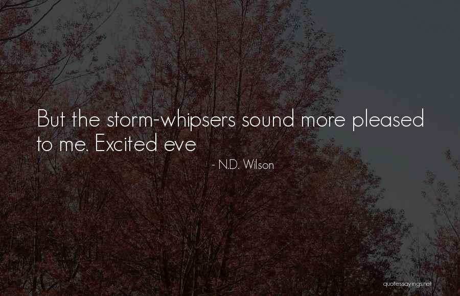 Sorrow Quotes By N.D. Wilson