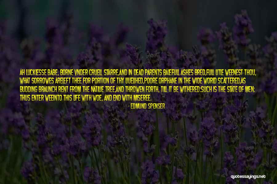 Sorrowes Quotes By Edmund Spenser Sorrowes Quotes By Edmund Spenser