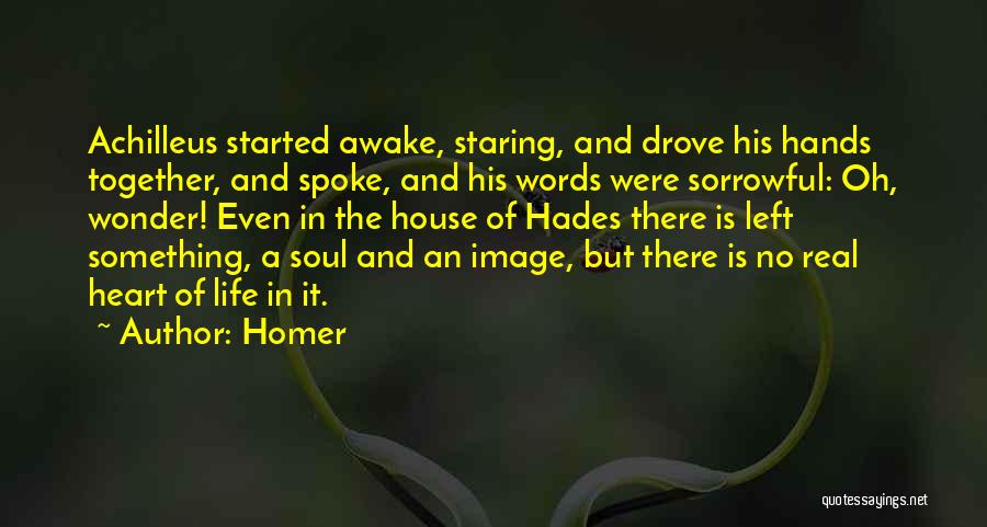 Sorrowful Life Quotes By Homer