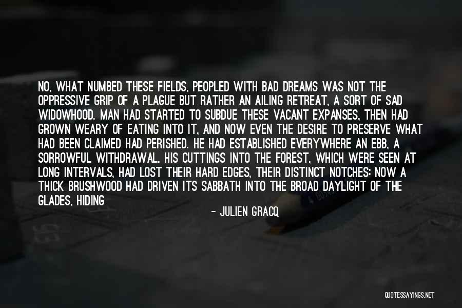 Sorrowful Quotes By Julien Gracq Sorrowful Quotes By Julien Gracq