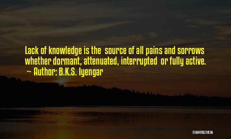 Sorrows And Pain Quotes By B.K.S. Iyengar