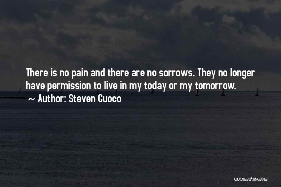 Sorrows And Pain Quotes By Steven Cuoco