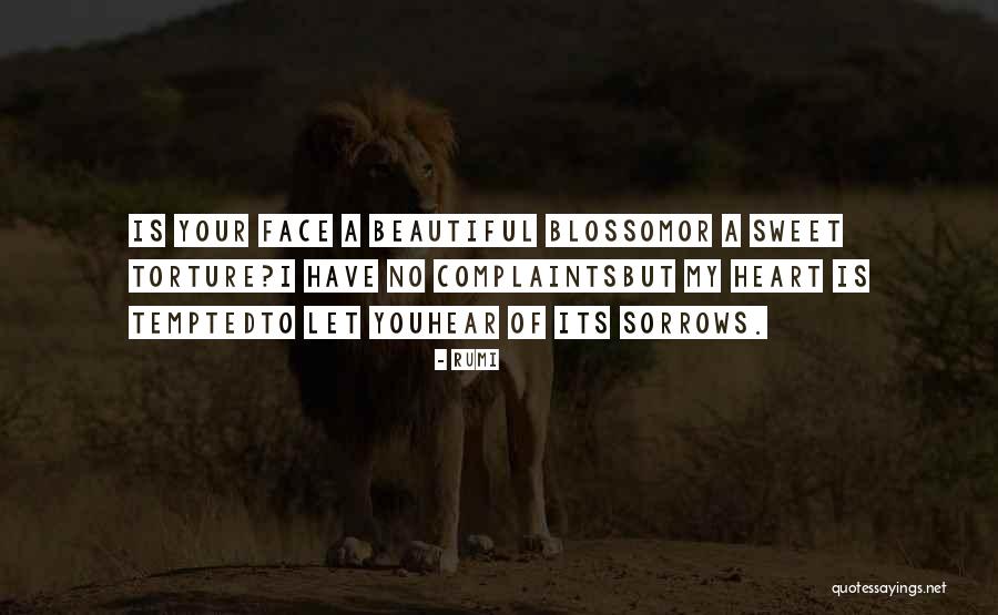 Sorrows My Quotes By Rumi Sorrows My Quotes By Rumi
