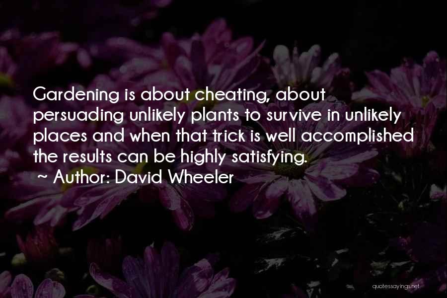 Sorry About Cheating Quotes By David Wheeler