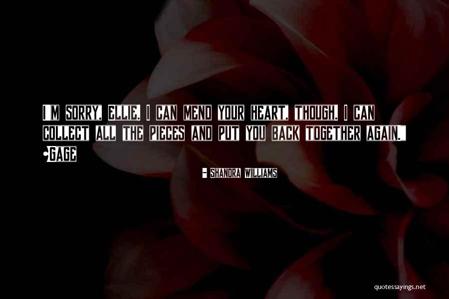Sorry Again And Again Quotes By Shanora Williams Sorry Again And Again Quotes By Shanora Williams