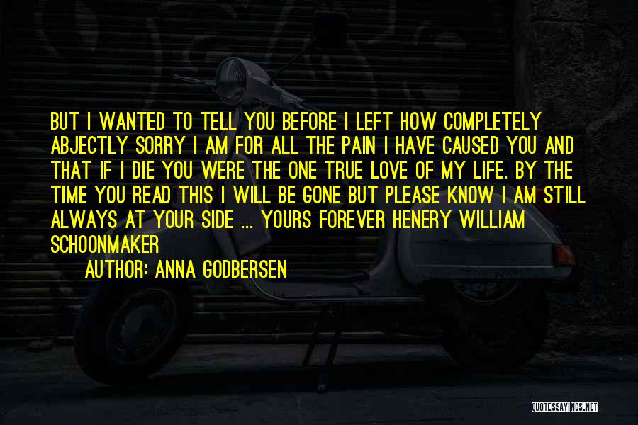 Sorry But I Still Love You Quotes By Anna Godbersen