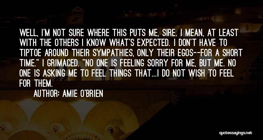 Sorry But No Quotes By Amie O'Brien