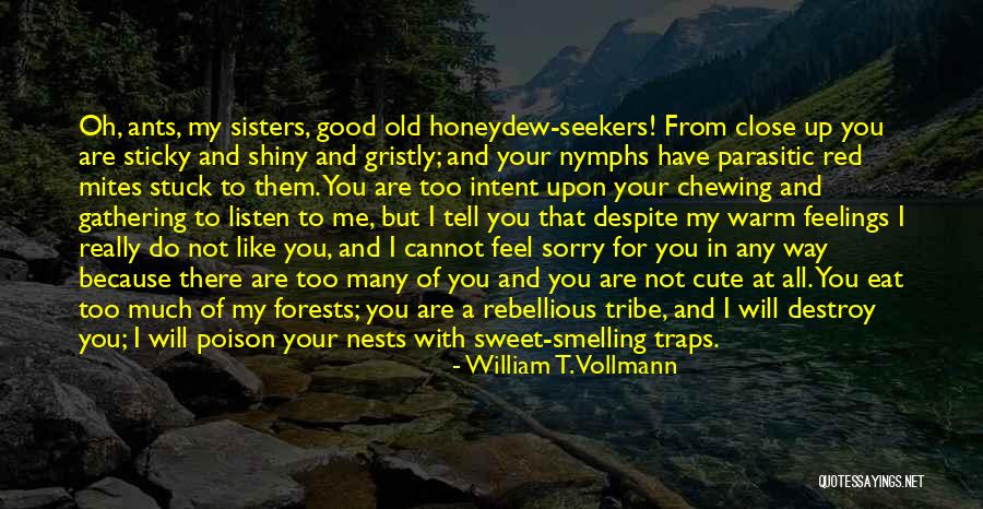 Sorry But Sweet Quotes By William T. Vollmann