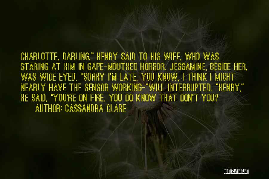 Sorry Darling Quotes By Cassandra Clare