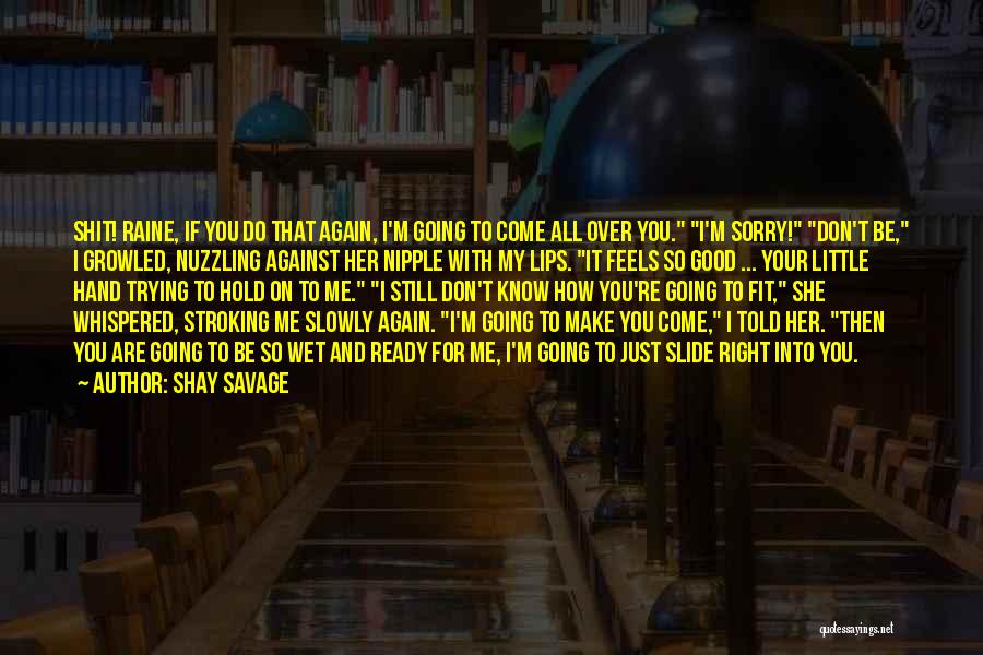 Sorry Don't Make It Right Quotes By Shay Savage