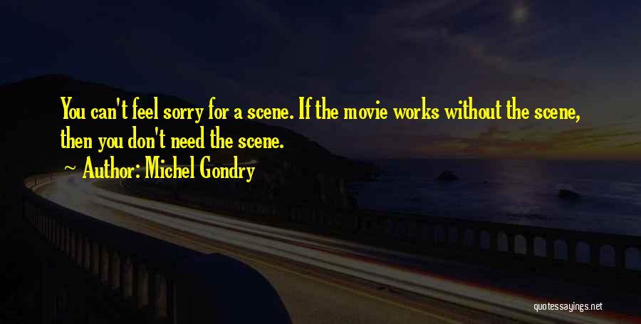 Sorry Feel Quotes By Michel Gondry