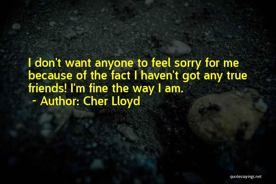 Sorry For Friends Quotes By Cher Lloyd