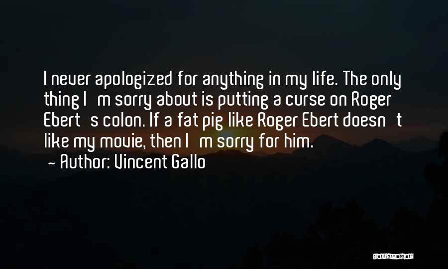 Sorry For Him Quotes By Vincent Gallo