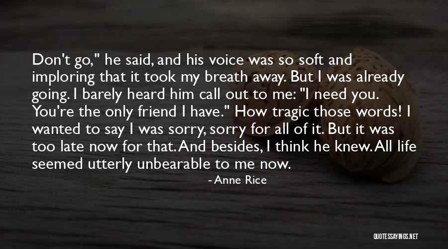 Sorry For My Friend Quotes By Anne Rice Sorry For My Friend Quotes By Anne Rice