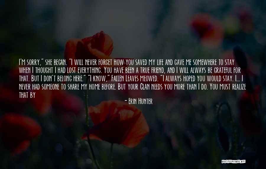 Sorry For My Friend Quotes By Erin Hunter Sorry For My Friend Quotes By Erin Hunter