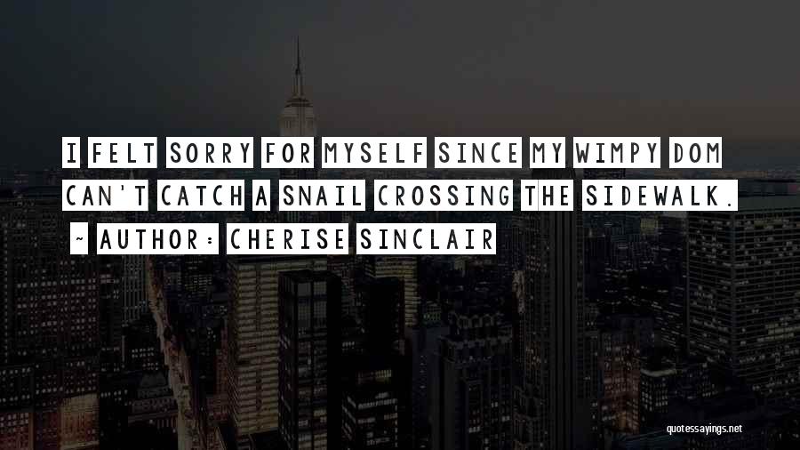 Sorry For Myself Quotes By Cherise Sinclair