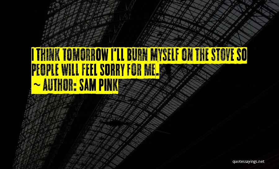 Sorry For Myself Quotes By Sam Pink