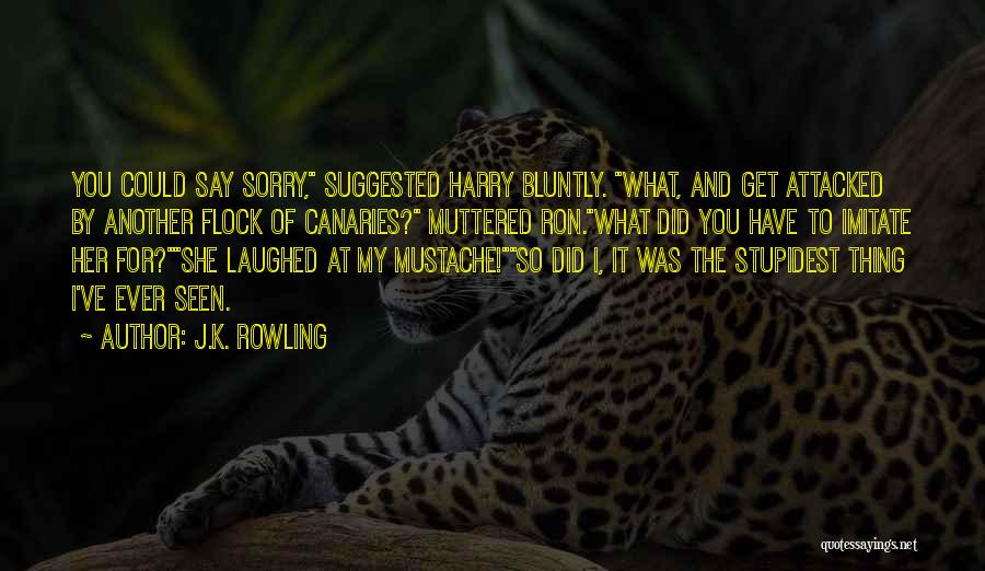 Sorry For What I Did Quotes By J.K. Rowling