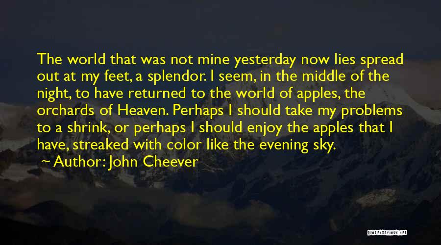 Sorry For Yesterday Night Quotes By John Cheever