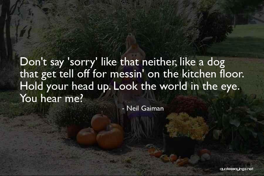 Sorry For Your Quotes By Neil Gaiman Sorry For Your Quotes By Neil Gaiman