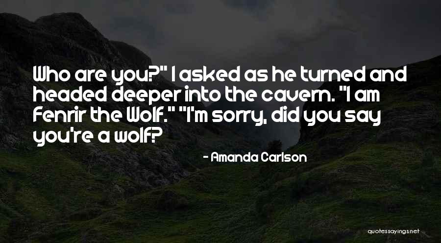 Sorry I Asked Quotes By Amanda Carlson