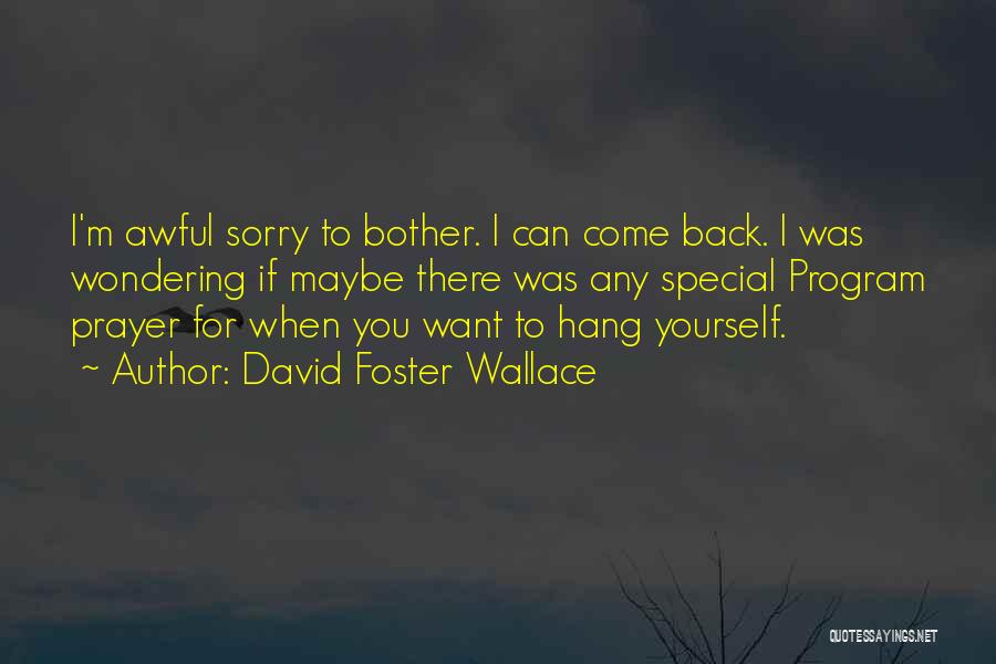 Sorry I Can't Come Quotes By David Foster Wallace