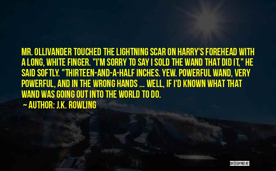 Sorry I Did Wrong Quotes By J.K. Rowling