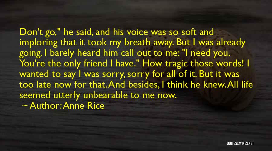 Sorry I Have To Go Quotes By Anne Rice