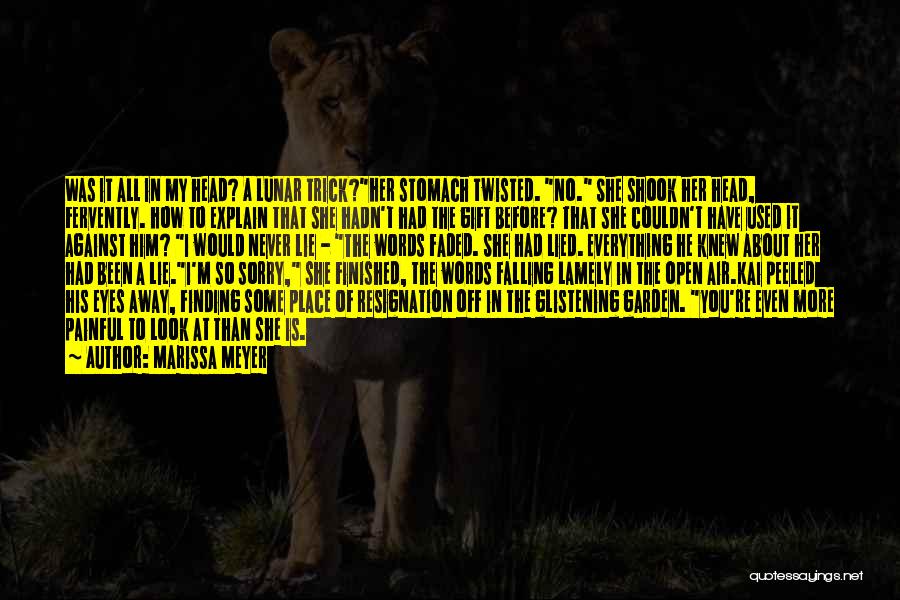 Sorry I Lied Quotes By Marissa Meyer Sorry I Lied Quotes By Marissa Meyer