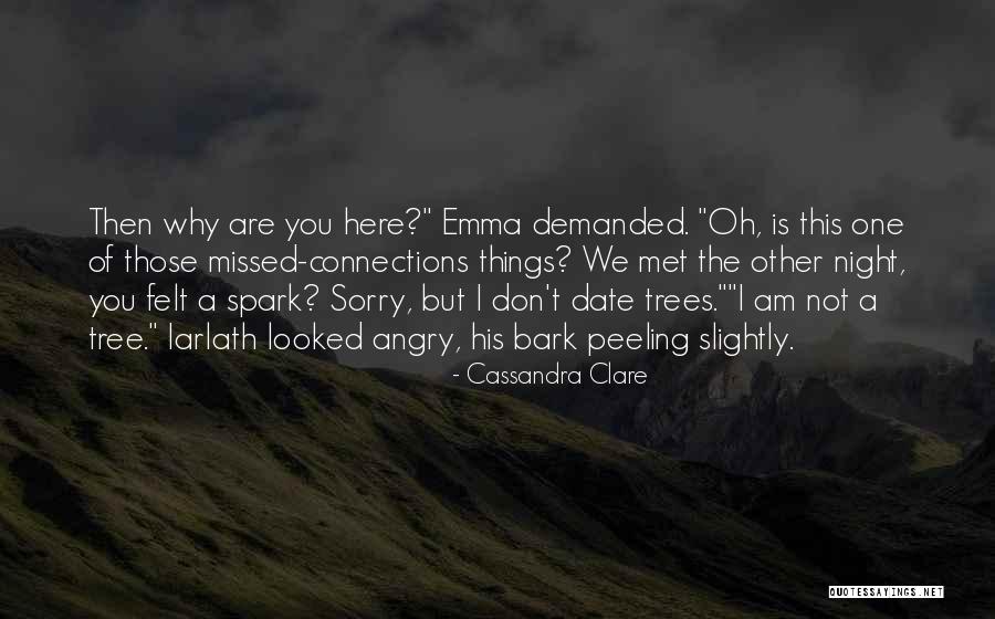 Sorry I Missed You Quotes By Cassandra Clare Sorry I Missed You Quotes By Cassandra Clare