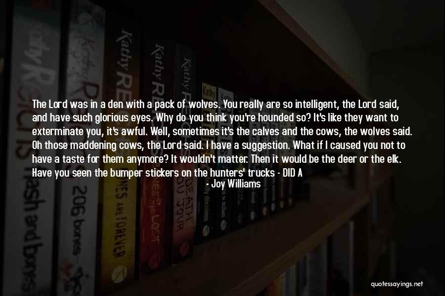 Sorry I Missed You Quotes By Joy Williams Sorry I Missed You Quotes By Joy Williams