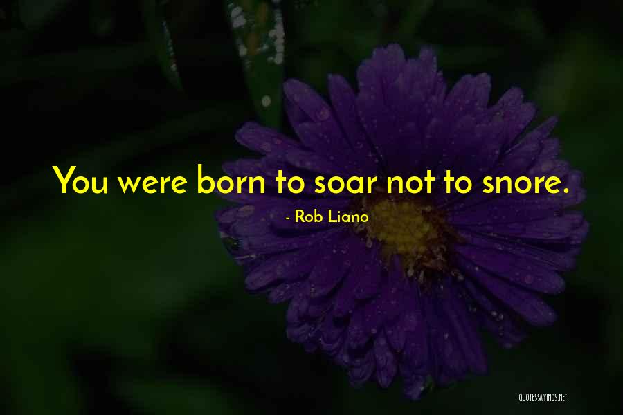 Sorry I Snore Quotes By Rob Liano Sorry I Snore Quotes By Rob Liano