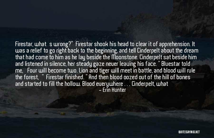 Sorry I Told Quotes By Erin Hunter Sorry I Told Quotes By Erin Hunter