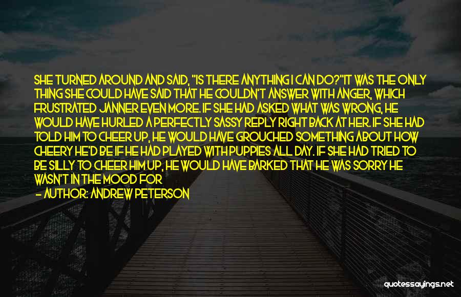 Sorry If I Was Wrong Quotes By Andrew Peterson