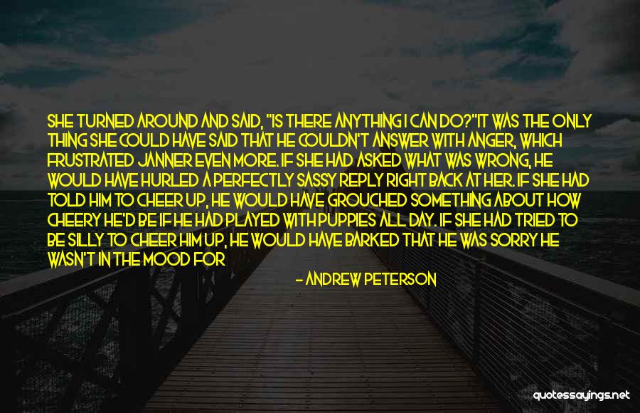 Sorry If I Was Wrong Quotes By Andrew Peterson