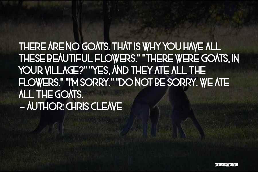 Sorry I'm Not Beautiful Quotes By Chris Cleave
