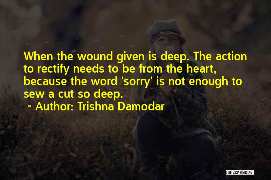 Sorry Is Not Enough Quotes By Trishna Damodar