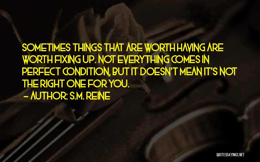 Sorry Not Fixing Everything Quotes By S.M. Reine