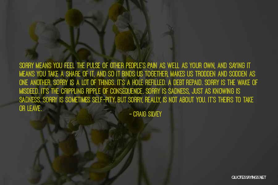 Sorry Pain Quotes By Craig Silvey Sorry Pain Quotes By Craig Silvey
