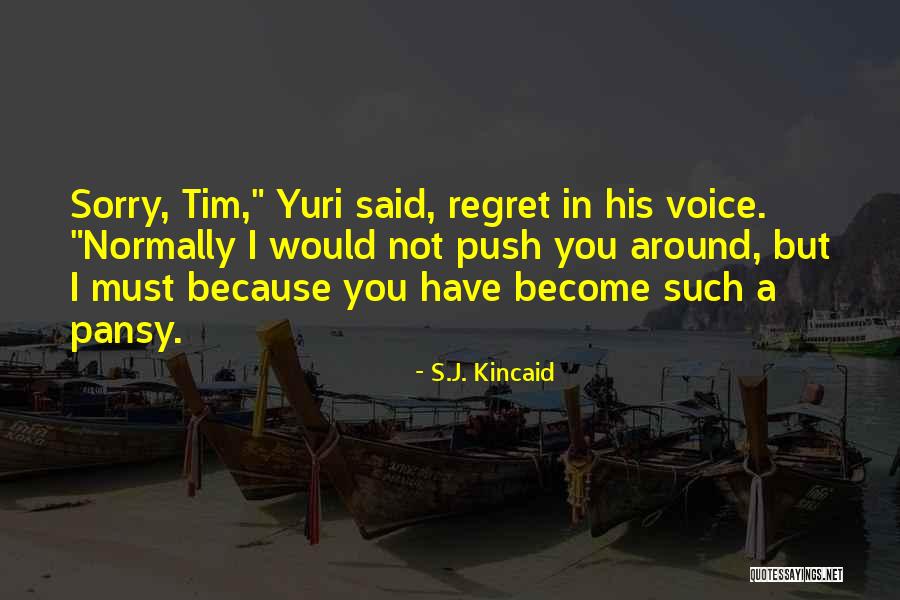 Sorry Regret Quotes By S.J. Kincaid Sorry Regret Quotes By S.J. Kincaid