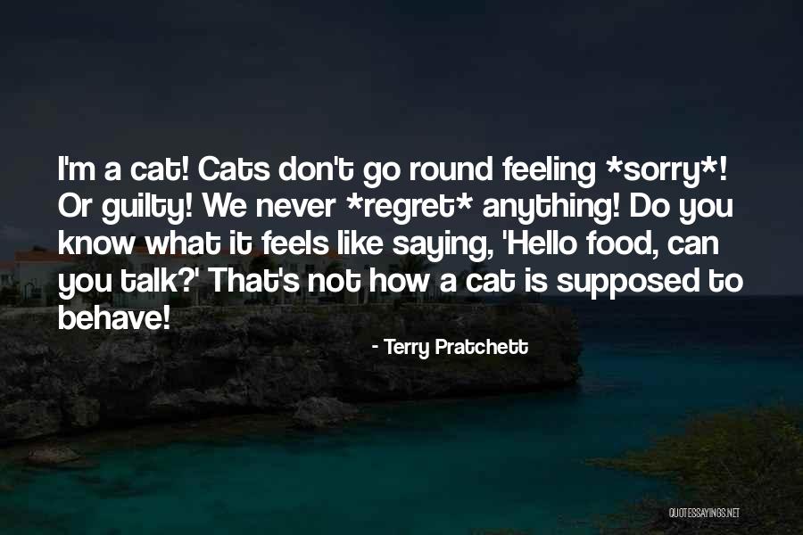 Sorry Regret Quotes By Terry Pratchett Sorry Regret Quotes By Terry Pratchett