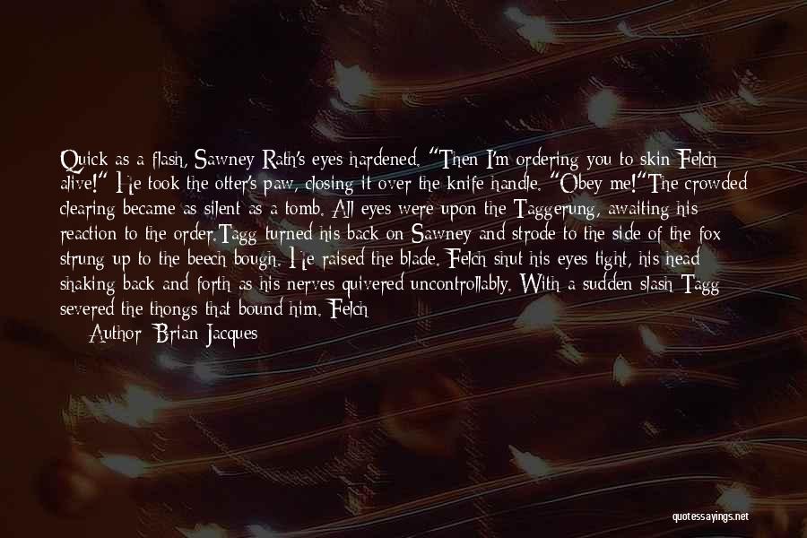 Sorry Take Me Back Quotes By Brian Jacques