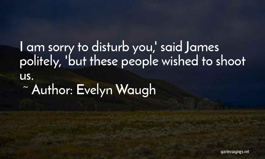 Sorry To Disturb Quotes By Evelyn Waugh