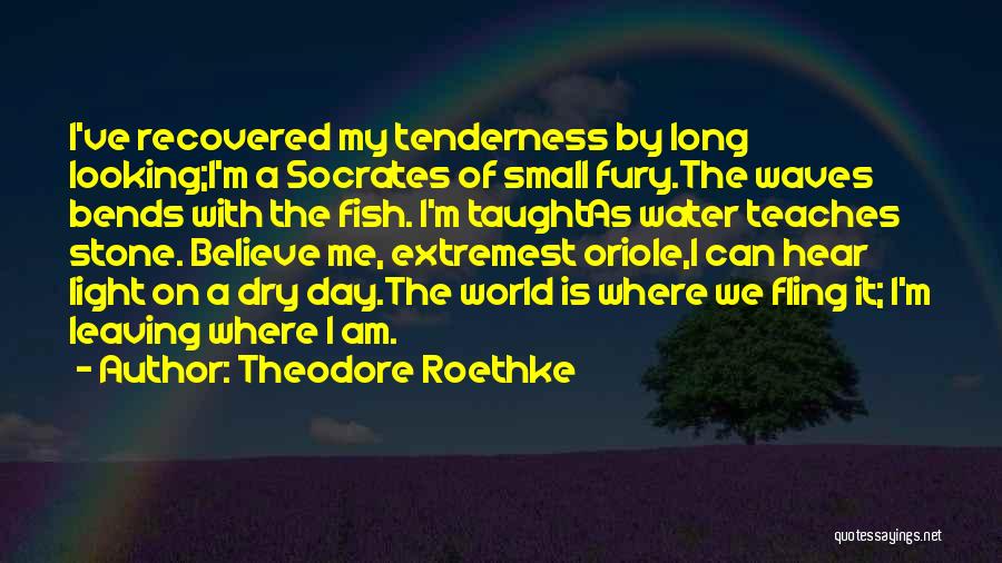 Sorry To Hear You're Leaving Quotes By Theodore Roethke