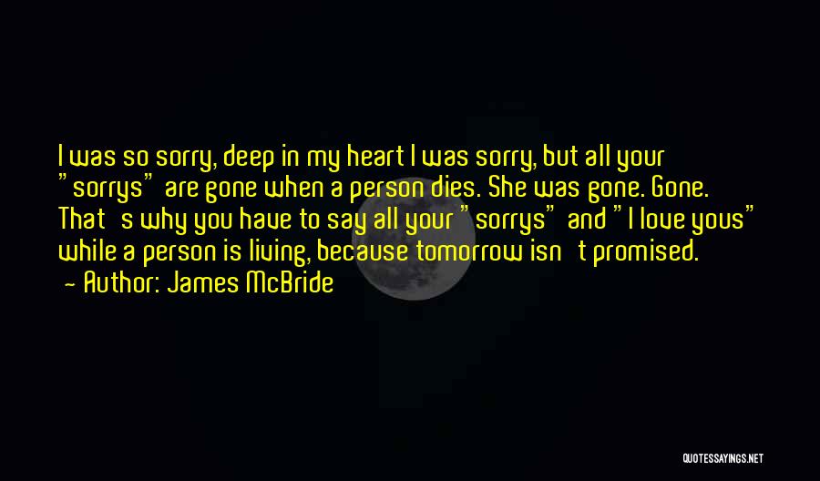 Sorry To My Love Quotes By James McBride