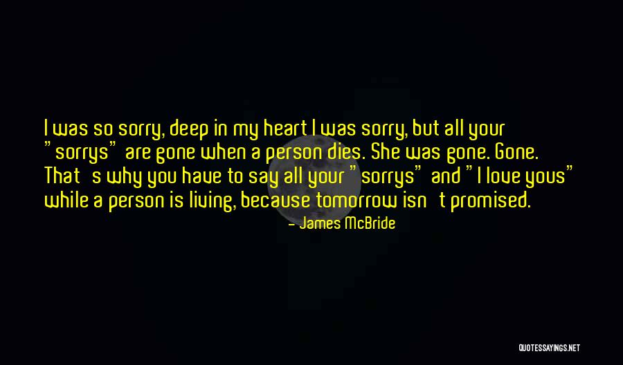 Sorry To My Love Quotes By James McBride