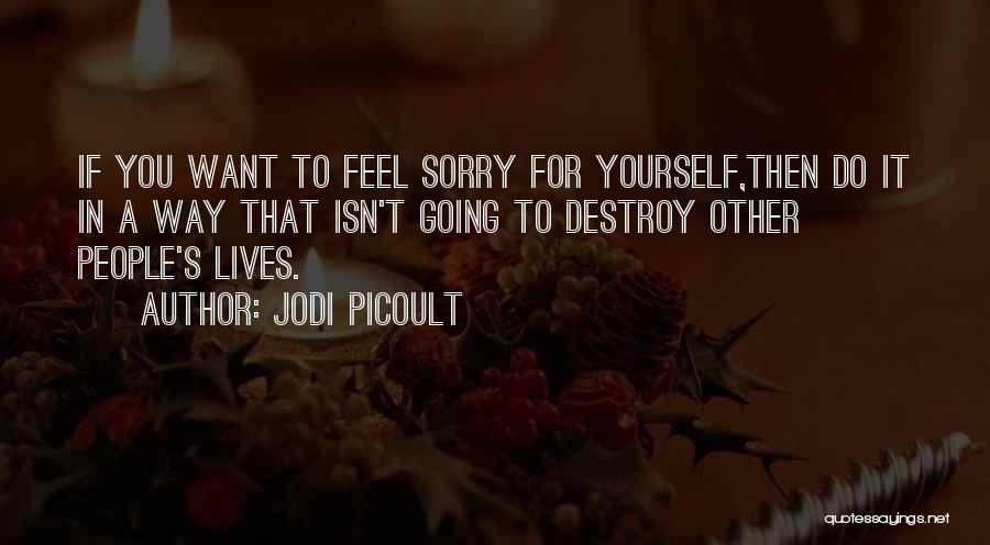 Sorry You Feel That Way Quotes By Jodi Picoult