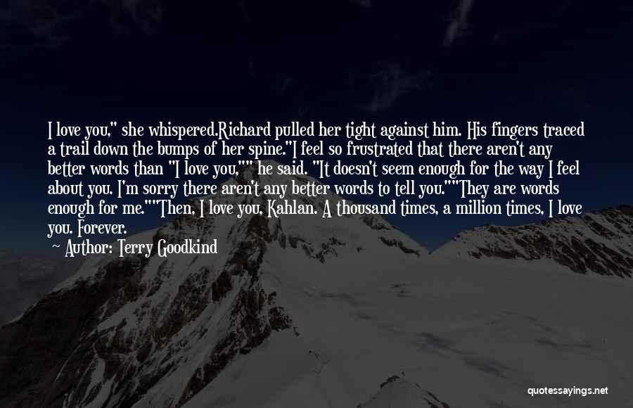Sorry You Feel That Way Quotes By Terry Goodkind
